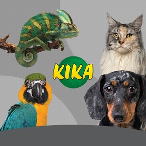 chainels-111774959666378221-logo