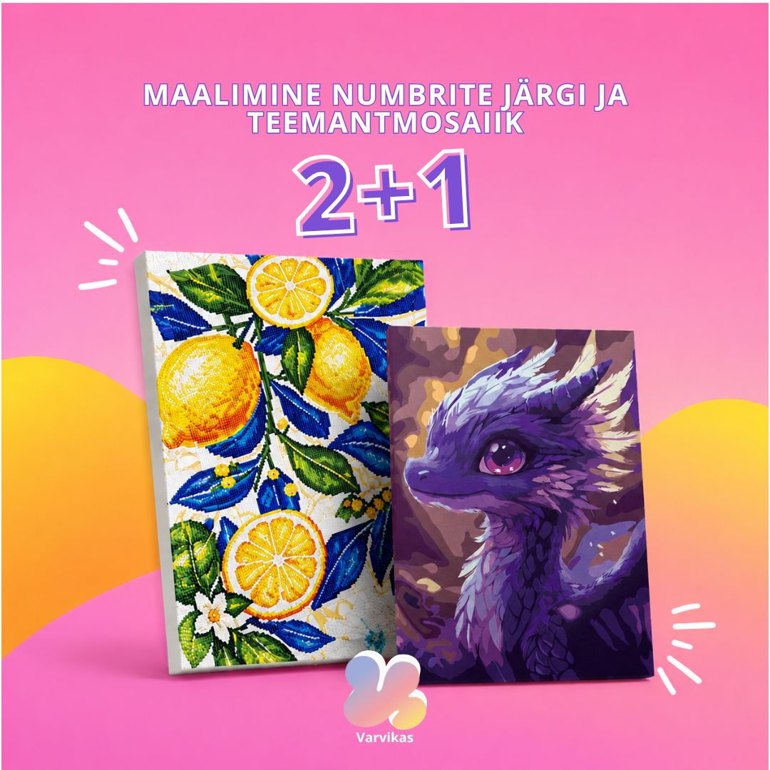 TEEMANTMOSAIIK JA JOONISTAMINE NUMBRITE JÄRGI Värvikas hobi ja kingitused