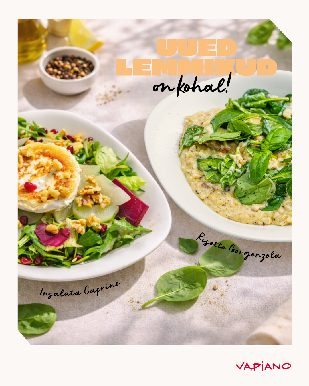 Uued lemmikud on kohal! Vapiano